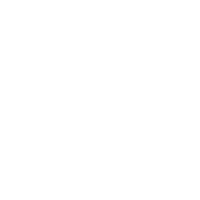 Tiger Global